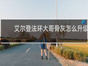 艾尔登法环大哥骨灰怎么升级