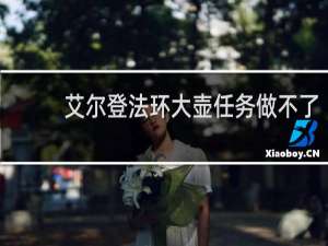 艾尔登法环大壶任务做不了
