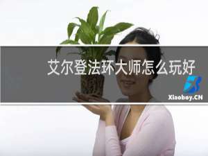 艾尔登法环大师怎么玩好