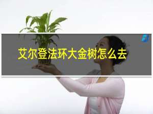 艾尔登法环大金树怎么去