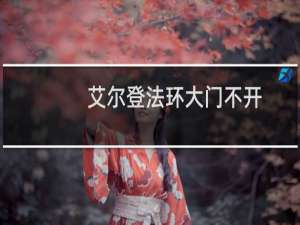 艾尔登法环大门不开
