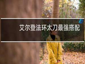 艾尔登法环太刀最强搭配