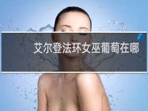 艾尔登法环女巫葡萄在哪