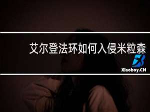 艾尔登法环如何入侵米粒森