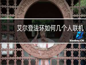 艾尔登法环如何几个人联机