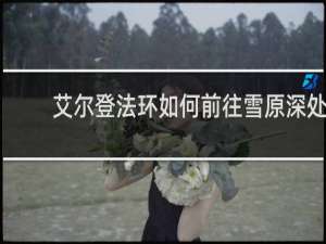 艾尔登法环如何前往雪原深处