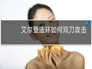 艾尔登法环如何双刀攻击