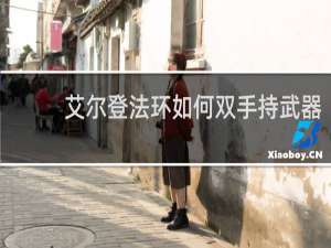 艾尔登法环如何双手持武器