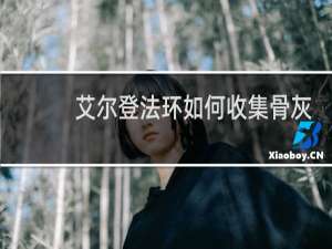 艾尔登法环如何收集骨灰