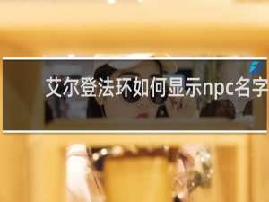 艾尔登法环如何显示npc名字