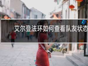 艾尔登法环如何查看队友状态