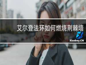 艾尔登法环如何燃烧荆棘墙