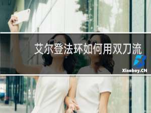 艾尔登法环如何用双刀流