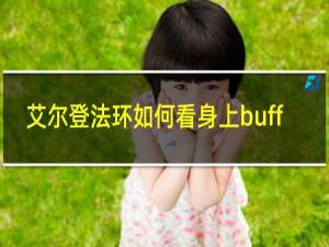 艾尔登法环如何看身上buff