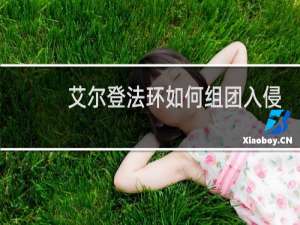 艾尔登法环如何组团入侵