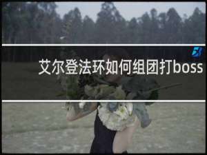 艾尔登法环如何组团打boss