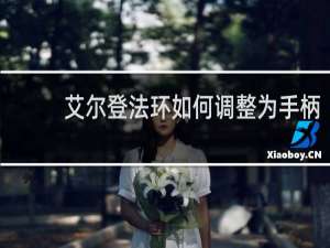 艾尔登法环如何调整为手柄