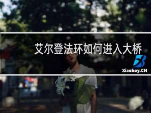艾尔登法环如何进入大桥