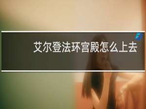 艾尔登法环宫殿怎么上去