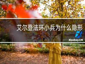 艾尔登法环小兵为什么隐形