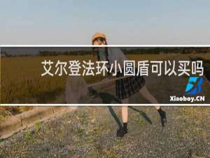 艾尔登法环小圆盾可以买吗
