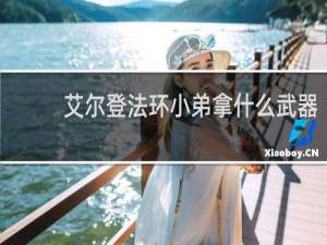 艾尔登法环小弟拿什么武器