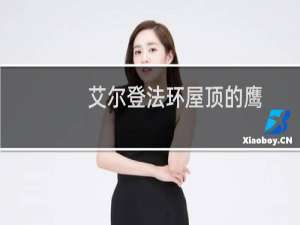 艾尔登法环屋顶的鹰