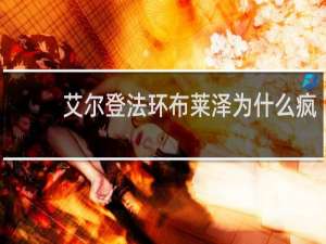 艾尔登法环布莱泽为什么疯