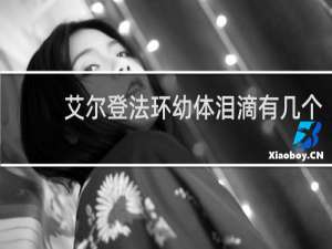 艾尔登法环幼体泪滴有几个