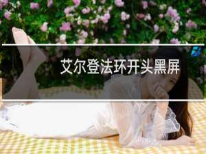 艾尔登法环开头黑屏