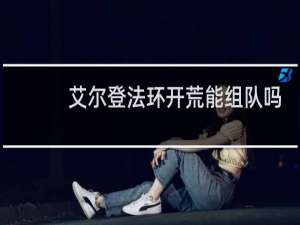 艾尔登法环开荒能组队吗