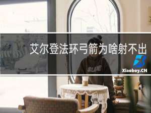 艾尔登法环弓箭为啥射不出