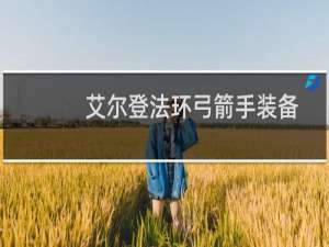 艾尔登法环弓箭手装备