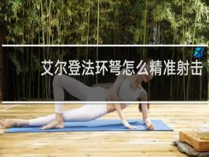 艾尔登法环弩怎么精准射击