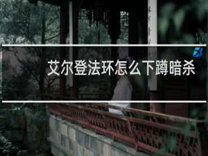 艾尔登法环怎么下蹲暗杀