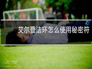 艾尔登法环怎么使用秘密符