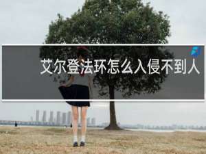 艾尔登法环怎么入侵不到人