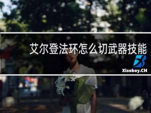艾尔登法环怎么切武器技能