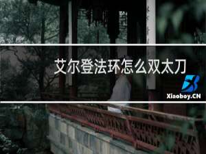 艾尔登法环怎么双太刀