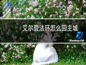 艾尔登法环怎么回主城