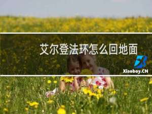 艾尔登法环怎么回地面