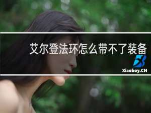 艾尔登法环怎么带不了装备