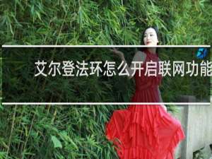 艾尔登法环怎么开启联网功能