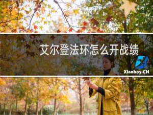 艾尔登法环怎么开战绩