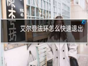 艾尔登法环怎么快速退出