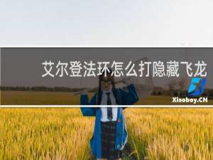 艾尔登法环怎么打隐藏飞龙