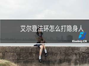 艾尔登法环怎么打隐身人