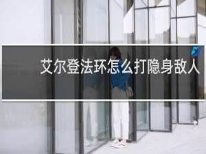 艾尔登法环怎么打隐身敌人