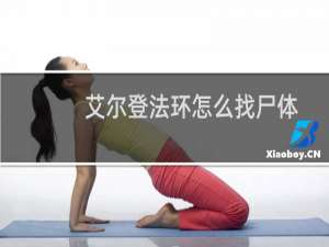 艾尔登法环怎么找尸体