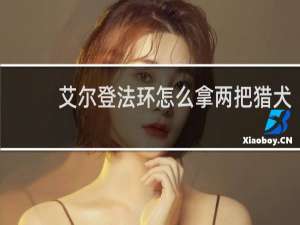 艾尔登法环怎么拿两把猎犬